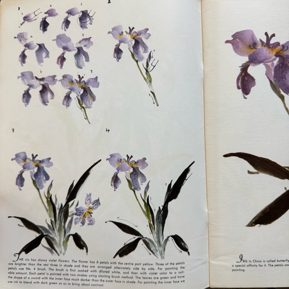 Vintage Walter T. Foster Vintage Art Book Collection – Learn to Draw & Paint - Picture 7 of 13